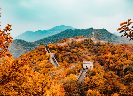 hanson-lu-Q36BvLGdOAg-unsplash