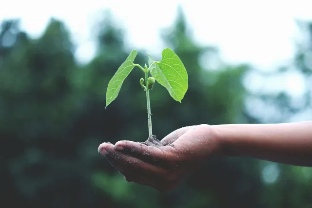 Key to Personal Growth and Transformation